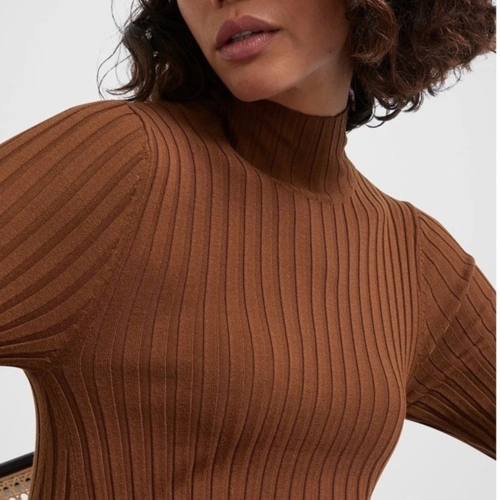Zara Brown Mock Neck Sweater